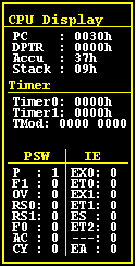 Das CPU Display